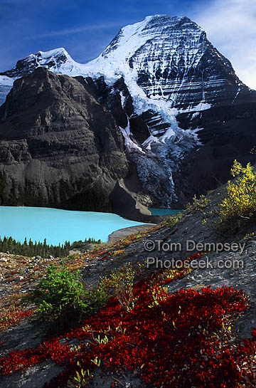 Berg_Lake_and_Mo.jpg