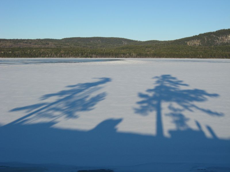 Setting sun makes eerie shadows on the ice by the Deep River waterfront. I had to be creative to avoid my own shadow. The Ottawa River is about 1.75 km wide here. The Laurentian Hills lie across the ice. Deep River is about 200 km northwest of Ottawa on highway 17.