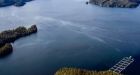 Oily sheen from B.C. diesel spill can't be recovered but will evaporate, officials say