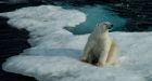 Arctic climate warming higher and faster than expected