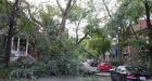 Cleanup underway in Montreal after intense storm leaves destruction in its wake