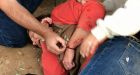 Woman attacked by a jaguar after climbing over a fence at Arizona zoo |