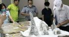 Vietnam seizes 125 kg of rhino horns, seven tiger carcasses