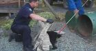 After refusing to kill bear cubs, ex-conservation officer wins dismissal case in B.C. court