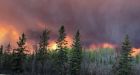 Slow start to Alberta wildfire season linked to weather and COVID-19 restrictions