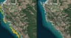 Satellite Imagery Shows Northern California Kelp Forests Have Collapsed