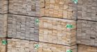 U.S. doubling softwood duty rates against most Canadian producers