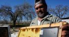 Beehive heists are on the rise, prompting beekeepers to use GPS in their own sting operations