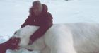 Hunting male polar bears could endanger species: study