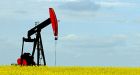 U.S., Canada share vast oilfield