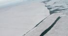 Ward Hunt Ice Shelf destined to disappear