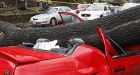 Tree crushes car, traps man inside