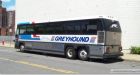 Greyhound responds to beheading lawsuit