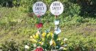 Roadside memorials: dangerous eyesores or tender reminders?