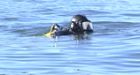 Explorers ID 19th-century schooner in Lake Ontario