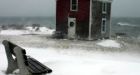 New year's blizzard thwarts travel, knocks out power  in Nova Scotia