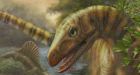 Oldest known dinosaur relative found