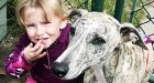 Dog's barking saves choking three-year-old