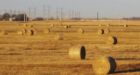 Climate change may benefit Canada's farmers