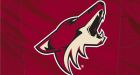 Ice Edge pulls out of Coyotes deal