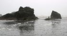Study says major quake could shake Olympic Peninsula