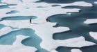 Arctic sea ice hits record low