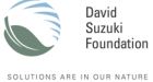 Suzuki charity under fire over Liberal ties