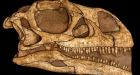 190 million-year-old dinosaur nesting site found