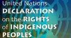 Ottawa still blocking UN Indigenous peoples rapporteur from landing in Canada on official visit