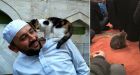 A mosque for cats' Imam opens his mosque up for the stray felines of Istanbul