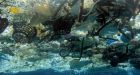 Plastic could outweigh fish in world's oceans by 2050: report