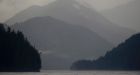 Great Bear Rainforest agreement creates 'a gift to the world'