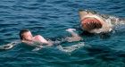 Last year set record for most shark attacks: 98 worldwide