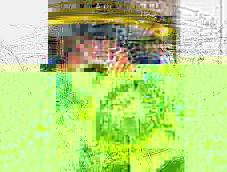 lhc1.jpg