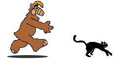 catchase1.gif