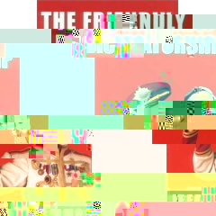 the friendly dictatorship.jpg