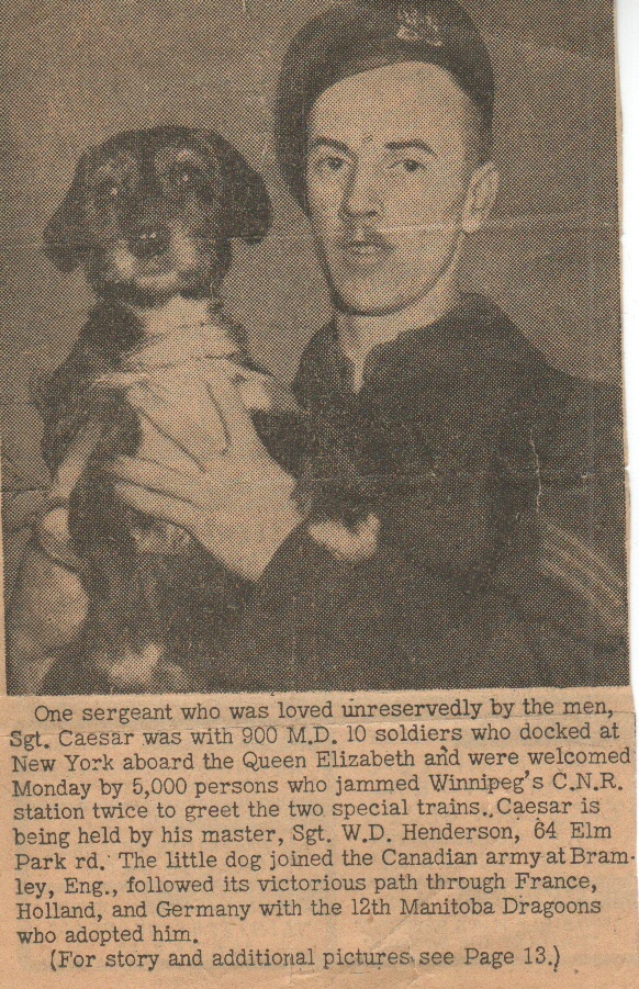 This is my father along with Sargent Ceasar who attached himself to his A.P.C. troupe over in Europe. My father ended up bring him home to Winnipeg after the war