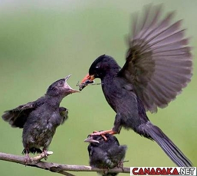 How could you do this Mom !!!!
