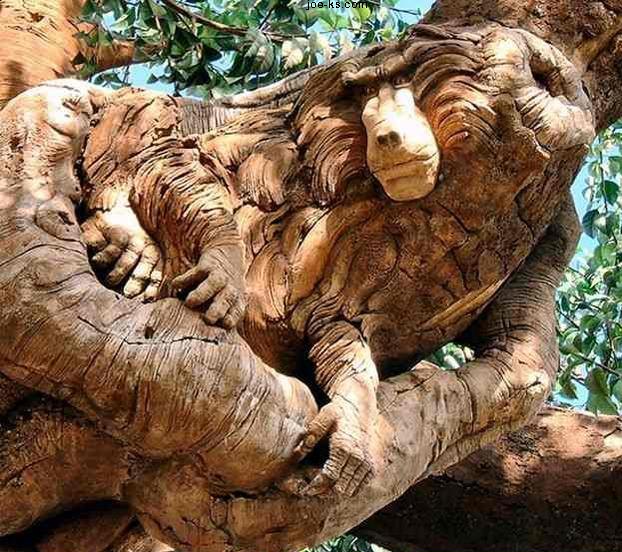 Baboon Art