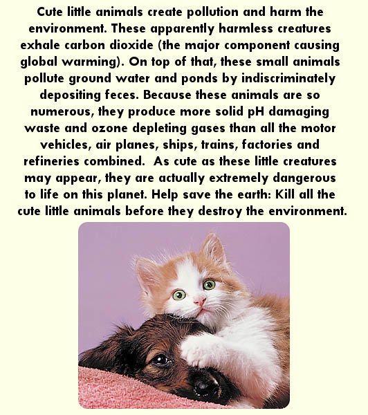 Cute little animals