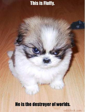 Fluffy