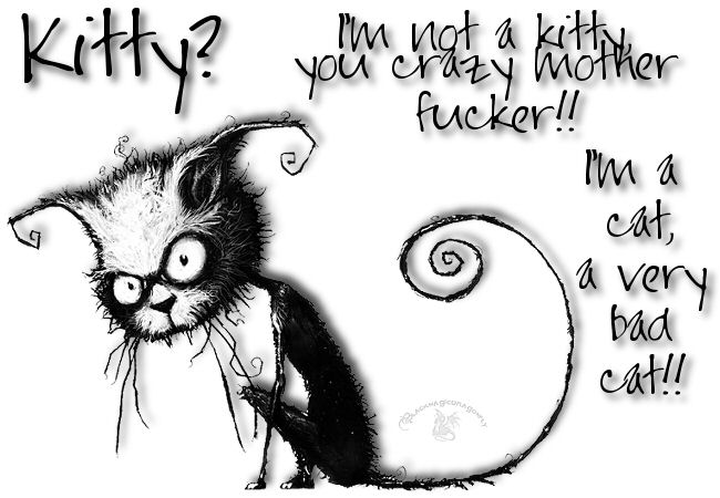 Kitty Kat