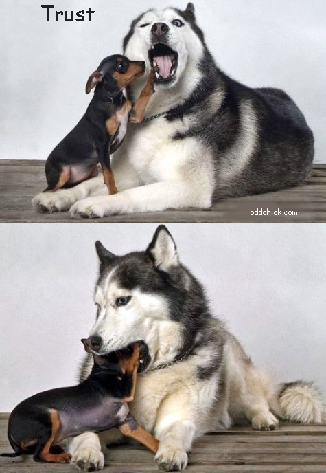 Trust