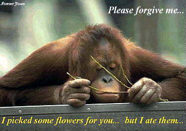 Please forgive me