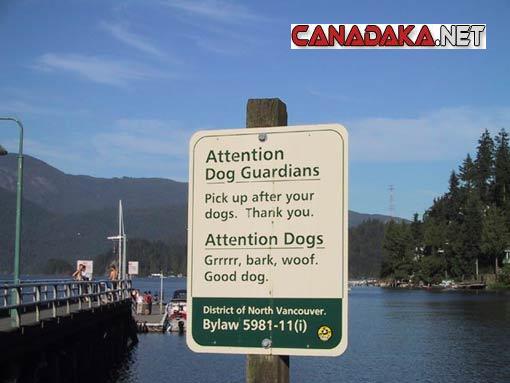 B.C. DUH ! !