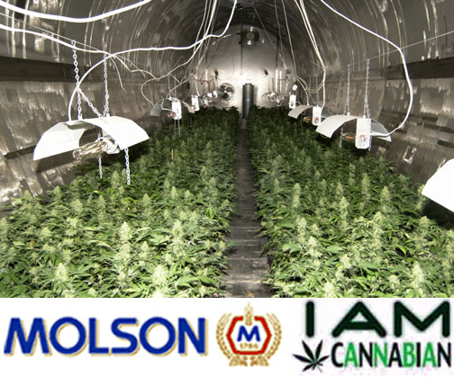I am Cannabian