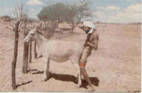 Ever wonder what Osama and the taliban do in their leisure time, Or how they create new members?