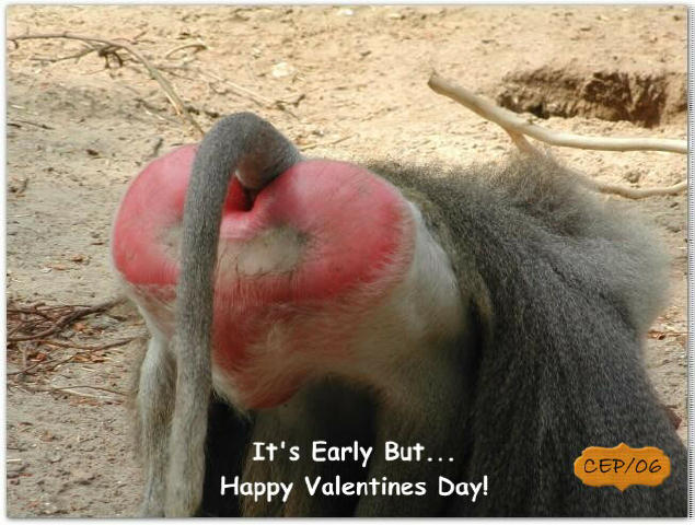 It's early but... Happy Valentines Day everyone.