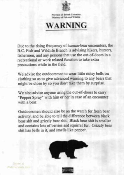 Bear Warning!