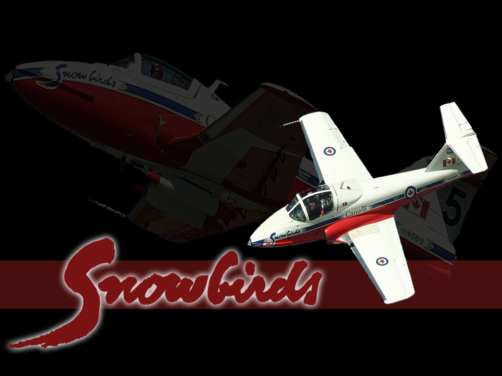 Simple wallpaper.  Snowbirds = love.  I loved watching them at the airshows I went to when I was a kid.